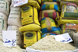 محمد علی روشن