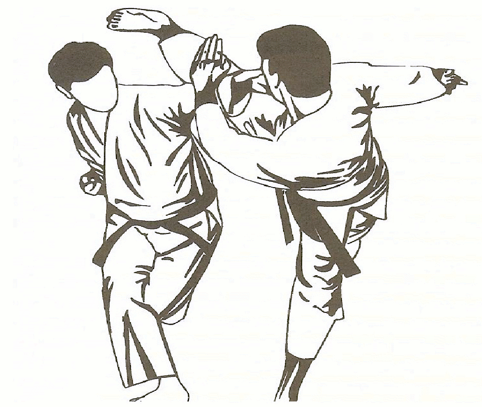 http://guilanian.ir/wp-content/uploads/2013/07/Karate1.gif