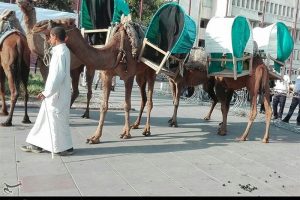 بازسازی واقعه غدیر در پیاده راه فرهنگی رشت به روایت تصویر