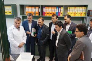 ارزیابی فرصتی طلایی برای برق های منطقه ای