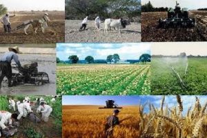 ۱۱ میلیارد تومان تسهیلات اشتغالزایی در شهرستان رشت پرداخت شد