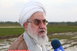بازدید نماینده ولی فقیه در گیلان از شالیزارهای چند شهرستان