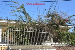 شرکت توزیع برق توجهی به نگهداری شبکه ندارد !؟