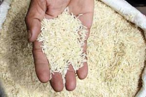 برنج ، در دستور کار نمایندگان مردم گیلان