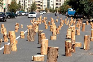 اعتراض جالب یک هنرمند به قطع بی رویه درختان