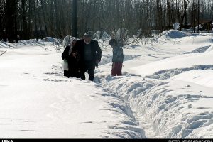برف ۸۰ میلیارد تومان به کشاورزی گیلان خسارت زد
