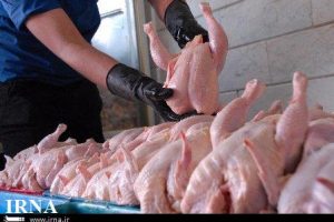 مرغ کشتار روز در بازار رشت ۵۰۰۰ تومان شد ؟!