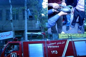 نجات یک کبوتر توسط ماموران آتش نشانی در لاهیجان _ منبع : لاهیگ