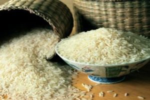 تغییر کاربری زمینهای کشاورزی شمال نتیجه واردات بی رویه برنج
