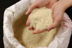یک‌میلیون تن برنج دولتی ناپدید شد