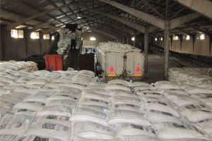 آلودگی برنجهای وارداتی توسط سازمان غذا و دارو تأیید شد