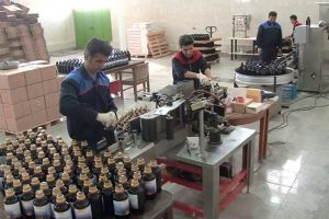 کمبود نقدینگی مهمترین چالش پروژههای تولیدی و صنعتی گیلان است