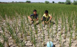 اختصاص اعتبار ۱۰ میلیارد تومانی برای مبارزه با خشکسالی در گیلان