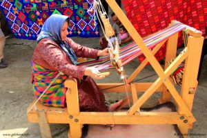 سهم اشتغال بخش کشاورزی استان گیلان ۲۸ درصد است