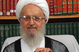 در مسئله اقتصاد مقاومتی همه وظایف بهعهده دولت نیست