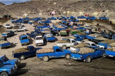 قاچاقچی ها دلارهای دولت را به آتش کشیدند