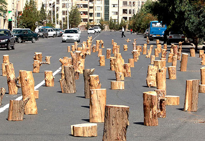 اعتراض جالب یک هنرمند به قطع بی رویه درختان