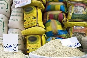 دولت دست انحصارگران واردات برنج را قطع کند