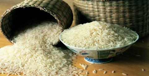 رمزگشایی از واردات بی‌رویه برنج